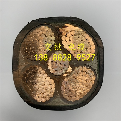 www.c4dtraining.com