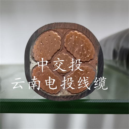 www.c4dtraining.com