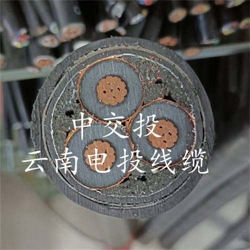 www.c4dtraining.com