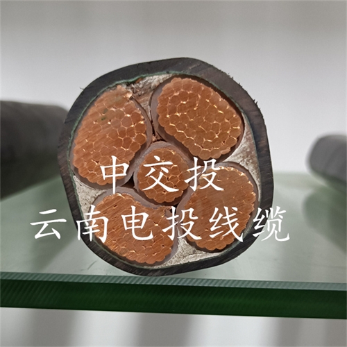 www.c4dtraining.com