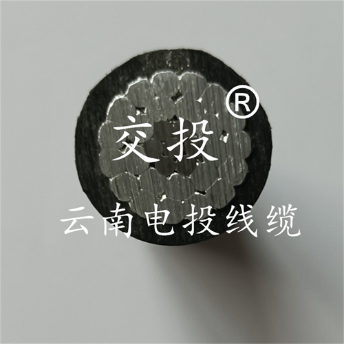 www.c4dtraining.com